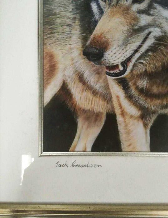 Conjunto de 3 Quadros Impressão Limitada