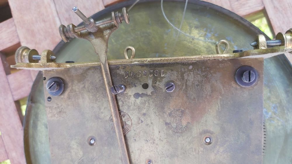 Gustav Becker żyłkowiec