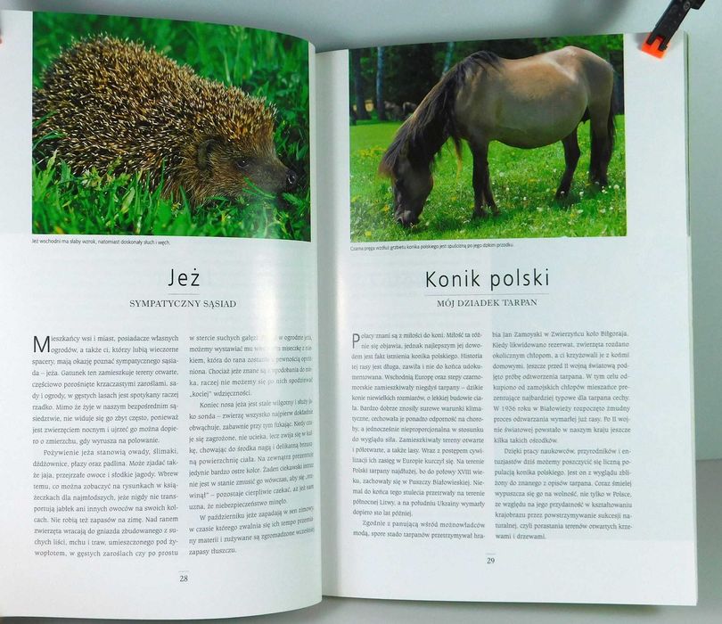 Tajemnice przyrody Polski R. Krzyściak-Kosińska M. Kosiński