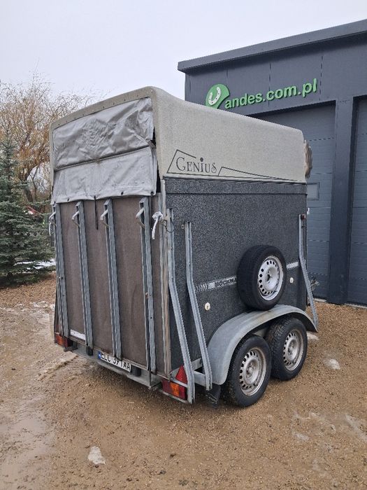 Przyczepa dla koni Boeckmann Genius