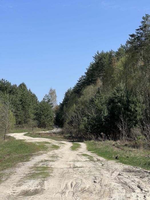 Продаж Земельна ділянка. Без комісії %