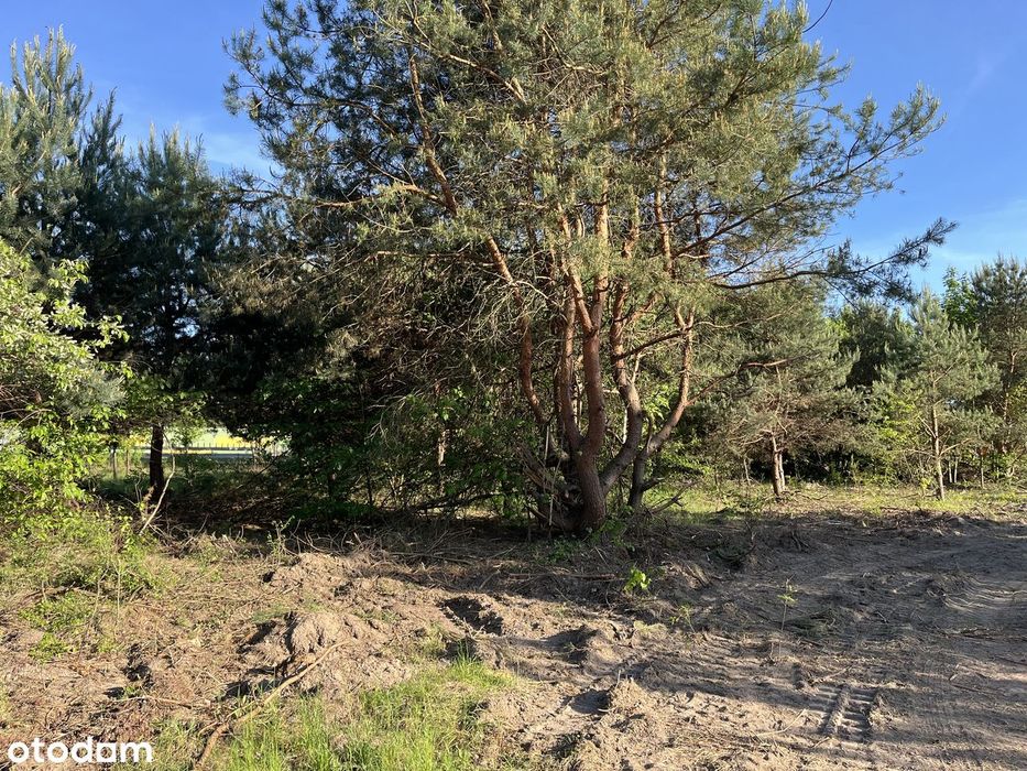 Działka budowlana 808 m² – Borowa Góra, gm. Serock - Widok 3