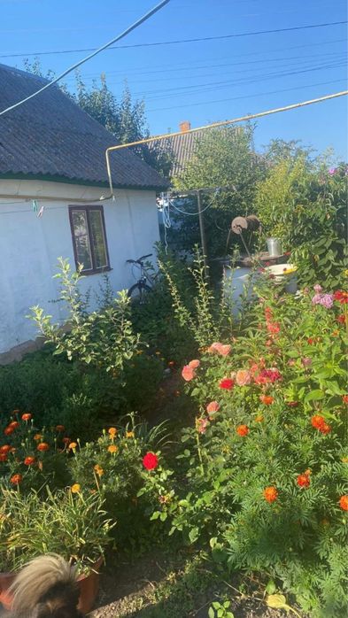 Продаж будинку в Калинівці
