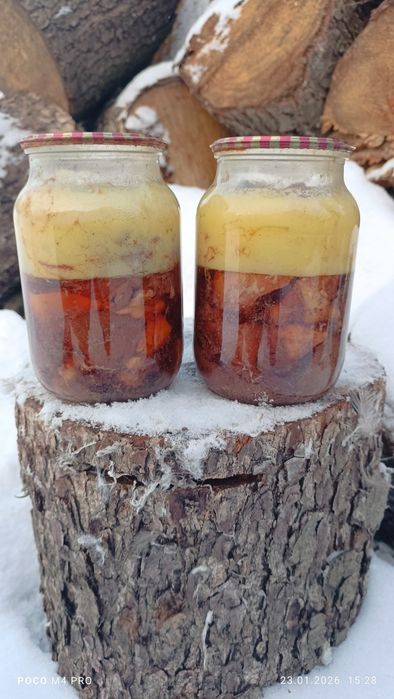 Тушонка гусяча домашня