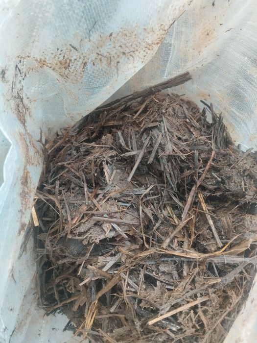 Obornik koński w workach