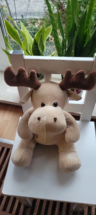 Łoś maskotka pluszak