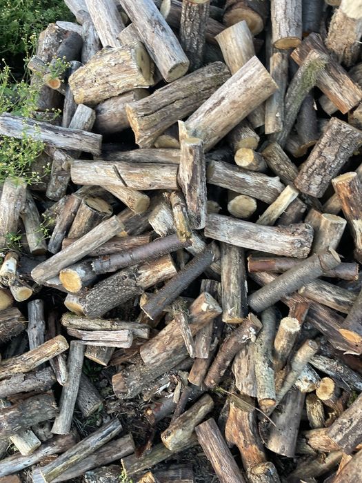 Drewno /Opał/ Dąb/Sosna/brzoza/Topola//mieszane/transport