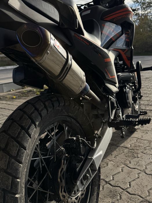 Musstang Challenge GT 250 (2024)