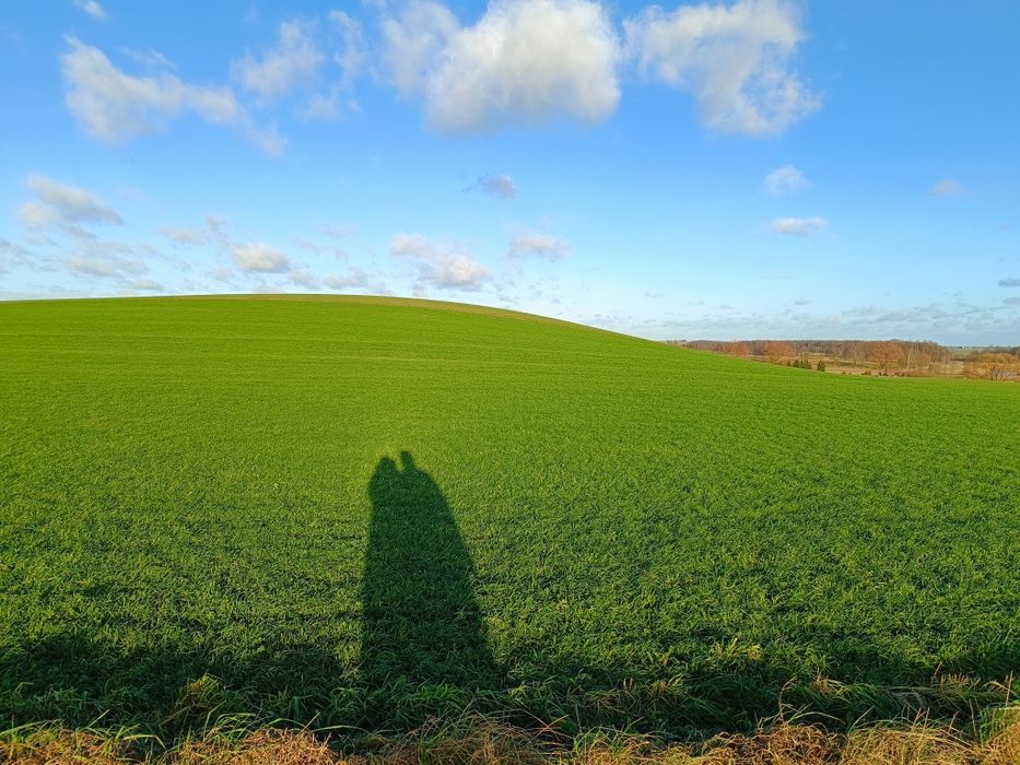 Ziemia rolna 12,55 ha - Widok 3