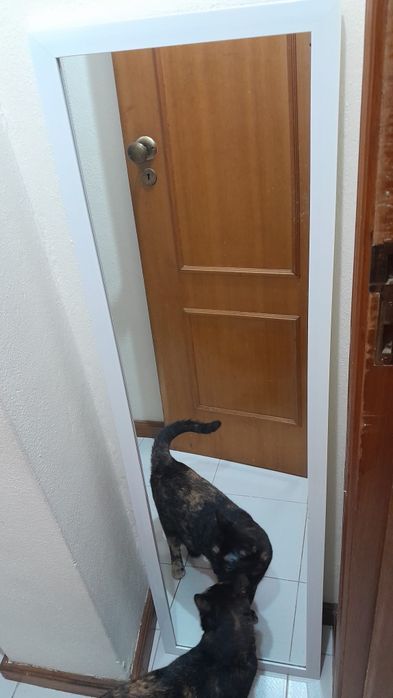 Vendas de móveis e outros