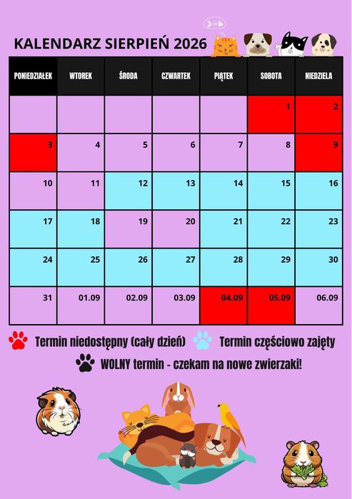 Opieka nad zwierzętami / Petsitter / Spacery z psem / Koty / Kraków