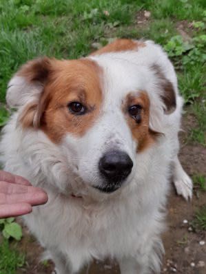 Roni szuka swojego człowieka. Przeszedł już piekło