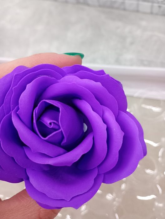 Róża mydlana fioletowa