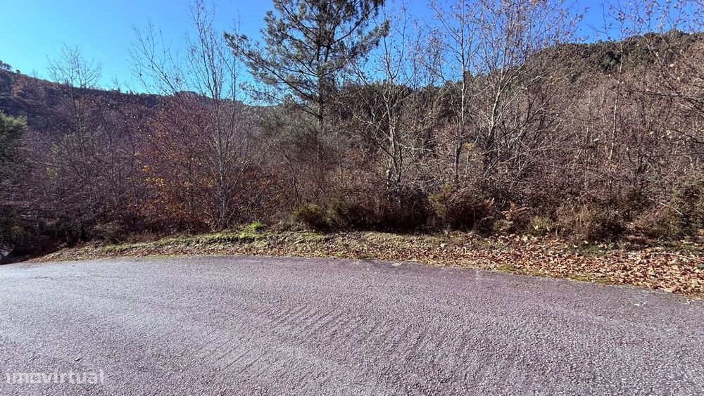 Terreno em Veade, Gagos e Molares