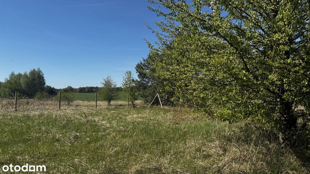 Sprzedam działkę o pow 975 m² w miejscowości trzęsów - View 5
