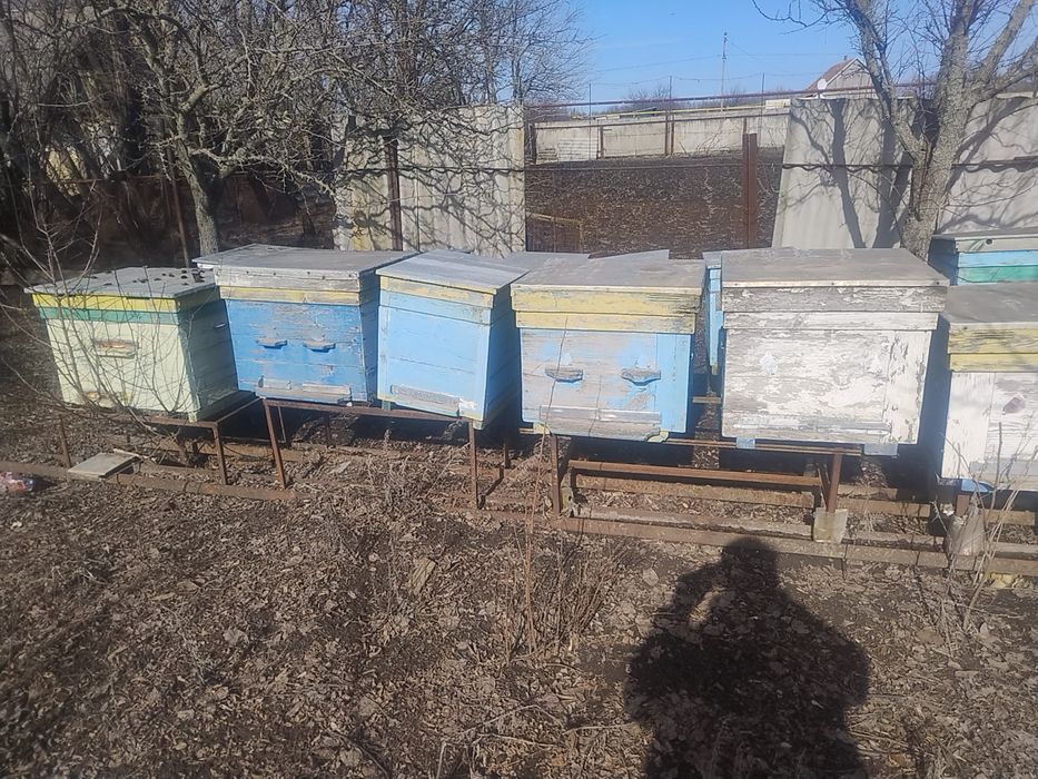 Продам вулики для бджіл