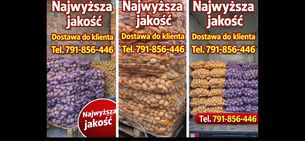 Ziemniaki wielkość sadzeniaka i jadalnego-różne odmiany-dostawa gratis