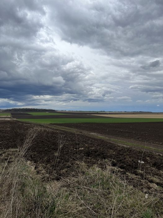 Продам земельну ділянку в с.В.Березовиця