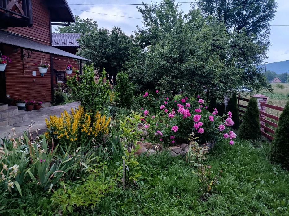 Відпочинок в Карпатах- Гостинний двір "За рікою"