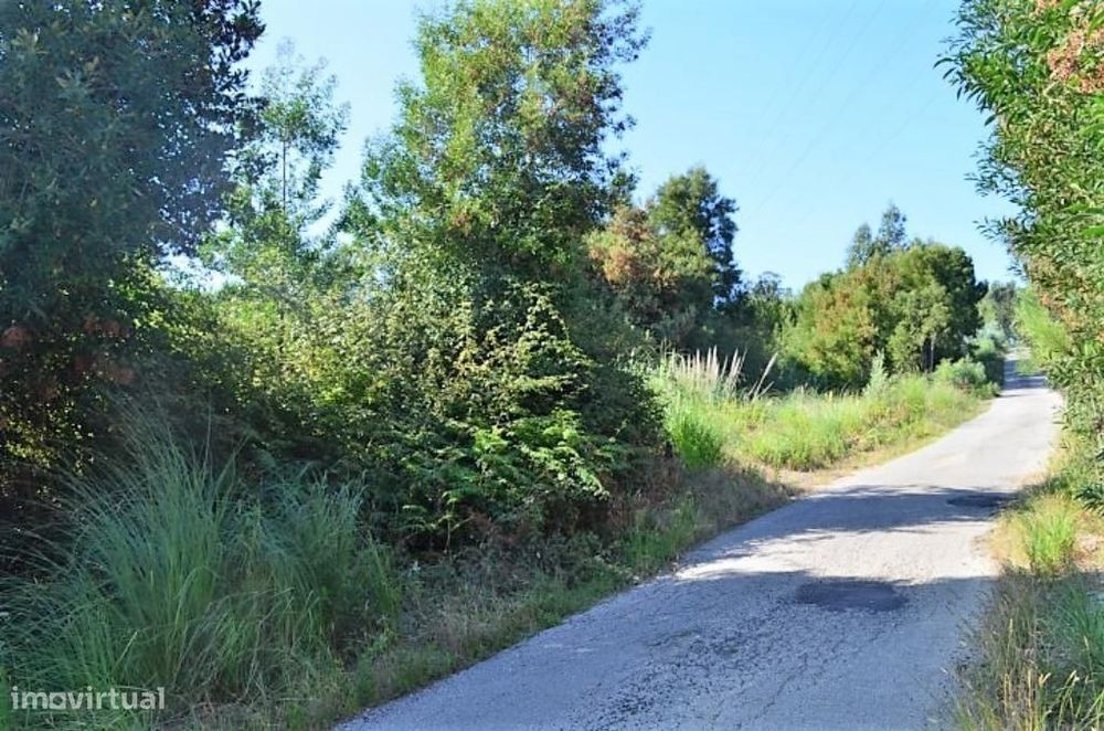 Rustic Land with 25,000 m² and Construction Feasibility in Gondomar