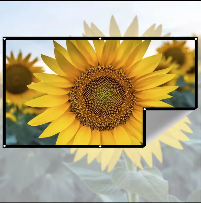 Экран для проектора 100” Anti-Light