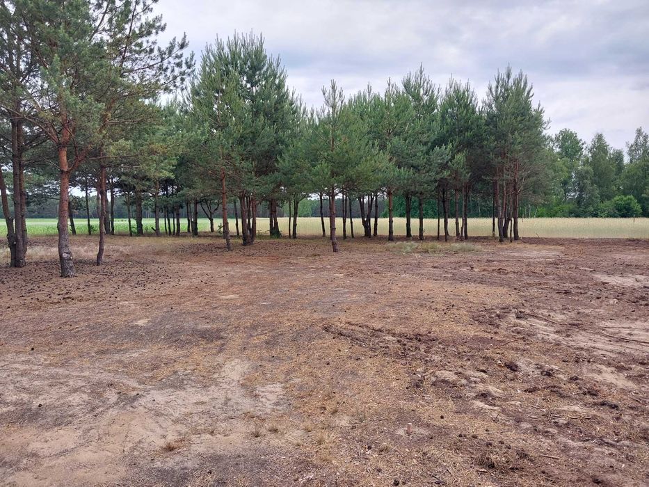 sprzedam działkę budowlaną , warunki zabudowy szablaki kolno podlaskie