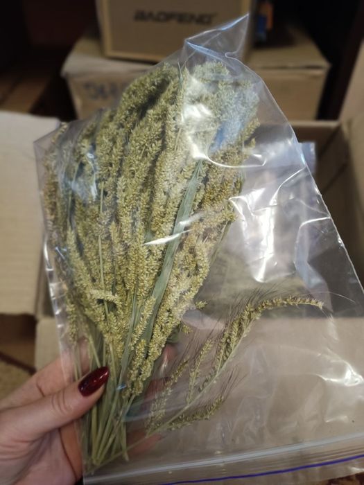 Смаколики для папуг