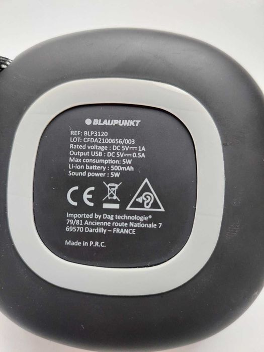 Bluetooth колонка Blaupunkt BLP3120 Original (FM, microSD, USB)