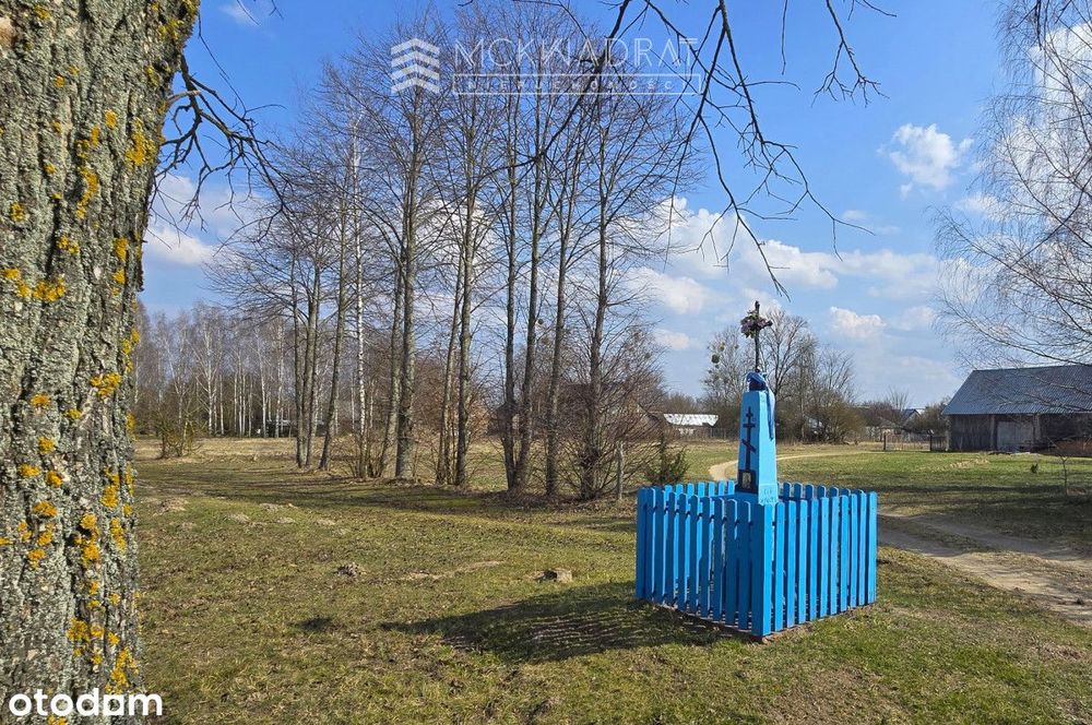 Okazja Podlasie siedlisko 2200 m2 drewniany dom,