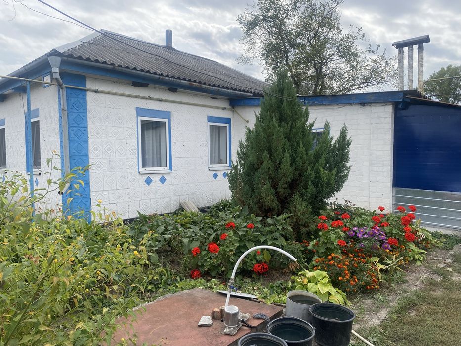 Продам будинок с. Пузикове