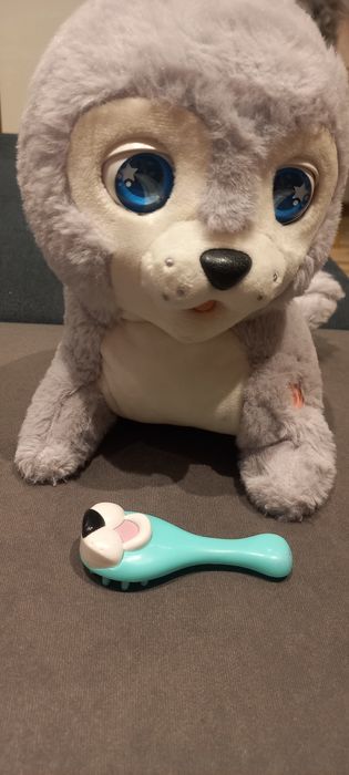 Foczka Hela interaktywna