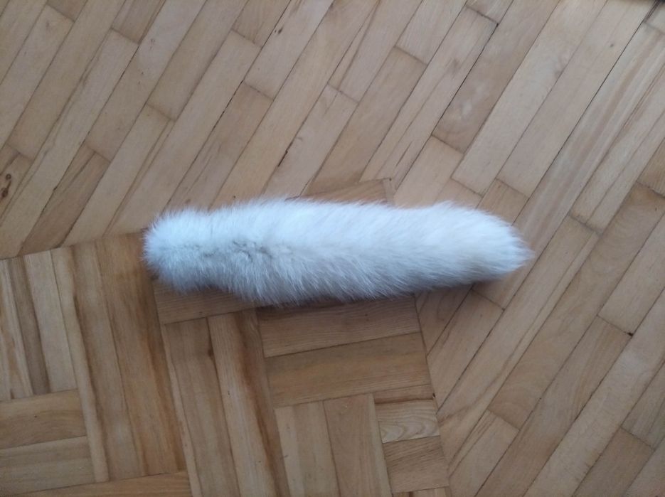 Sprzedam ogon z lisa, lisy, lis, skóry, skóra