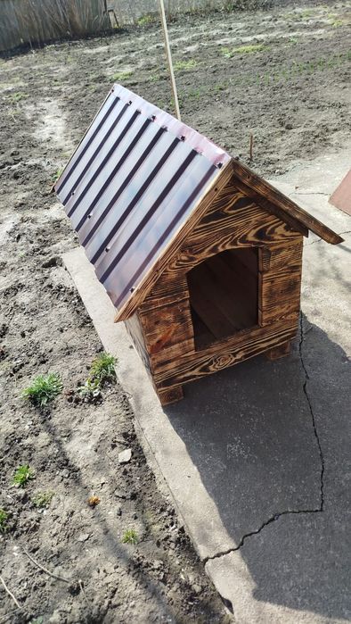 Буда для собачки