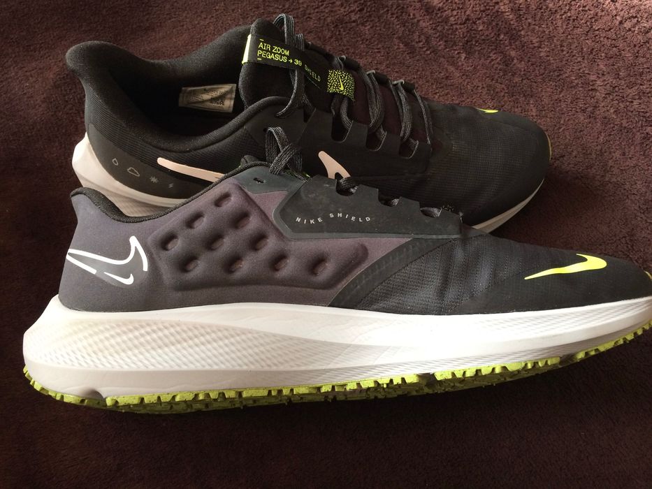 Nike Pegasus 39 Shield