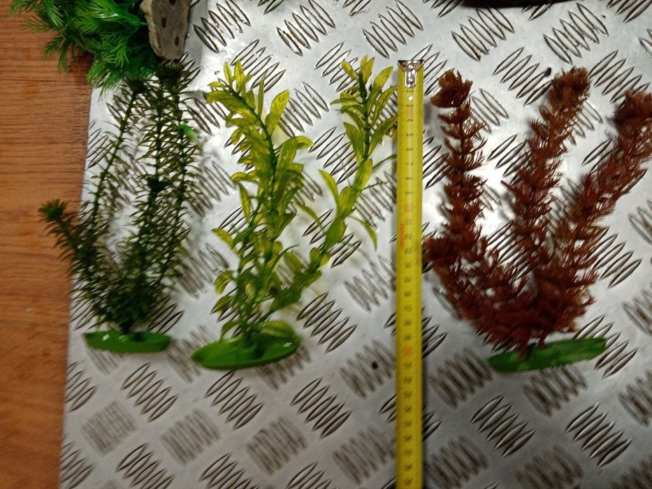 Декорації для акваріума. Рослини. Водорослі.