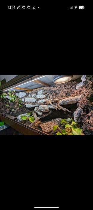 Terrarium para uma cobra