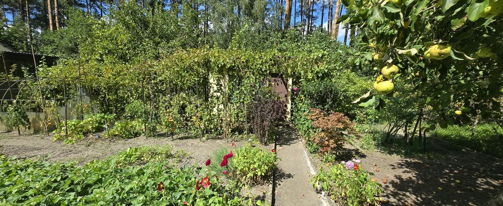 ROD "Zacisze Leśne" Wilkanowo