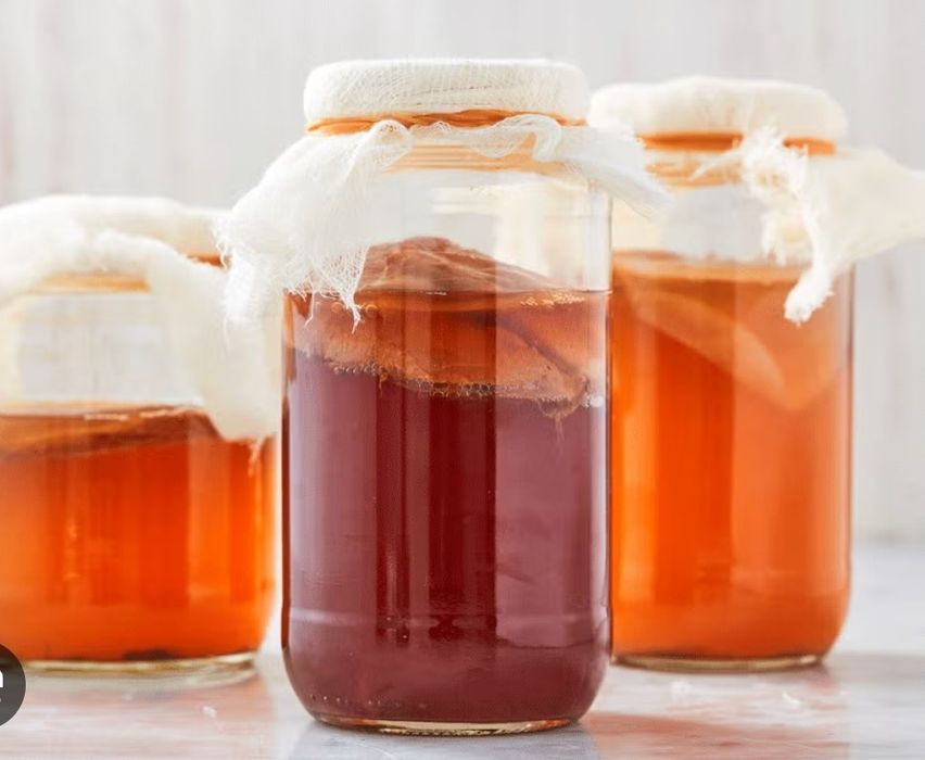 Grzybek herbaciany KOMBUCHA