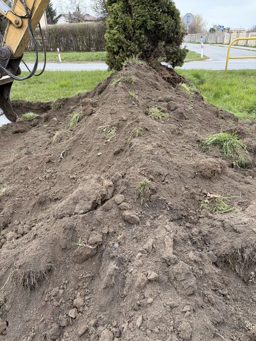 Sprzedam czarnoziem w obrebie 8km od witaszyc
