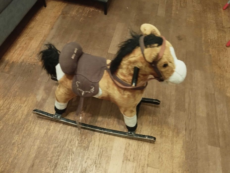 Конячка дитяча, вживана, в робочому стані: рже...: 350 грн. - Другой ...