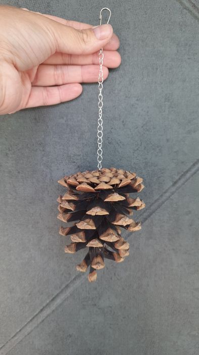 Жердочки / Іграшки для папуг