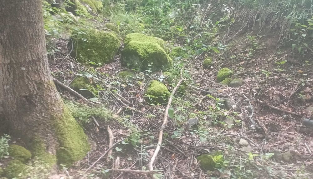 Ціну змінено! Продаємо ділянку у Квітки Полонини Солочин Закарпатськ