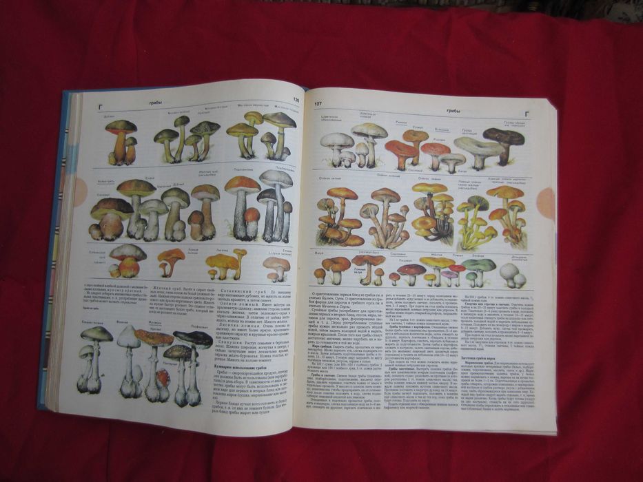 Очень нужная и полезная книга Краткая энциклопедия домашнего хозяйства