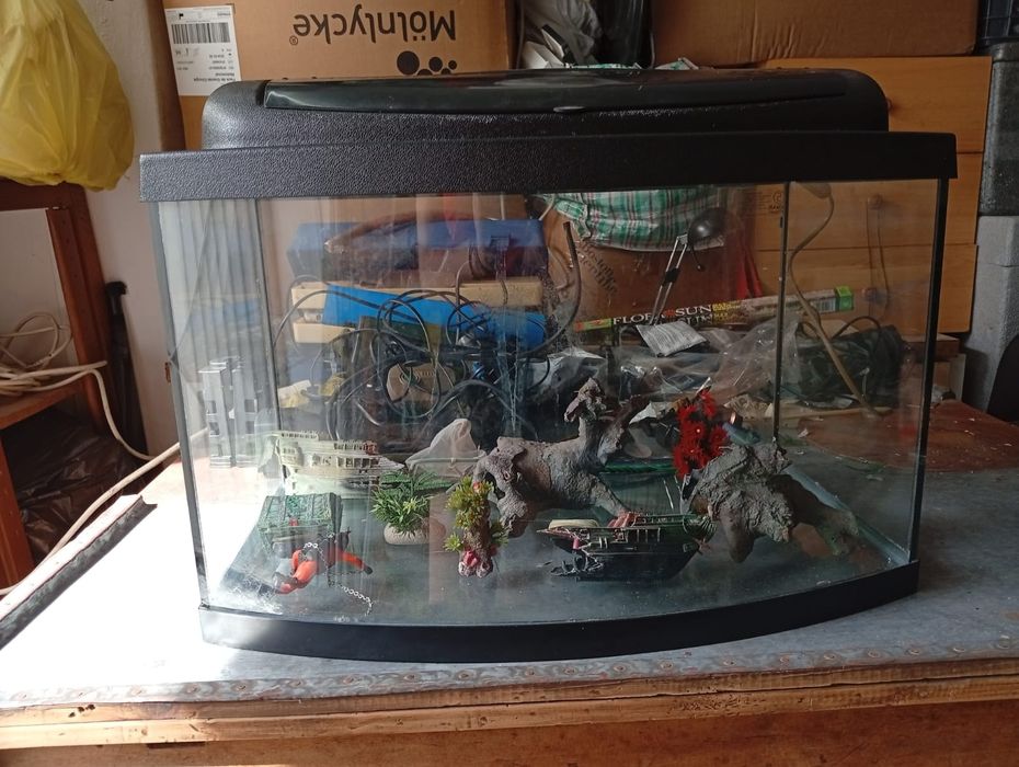 Vendo 3 aquários com acessórios
