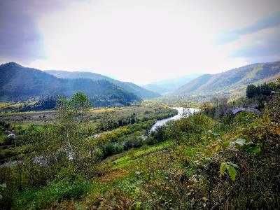 Земельна ділянка с. Рибник