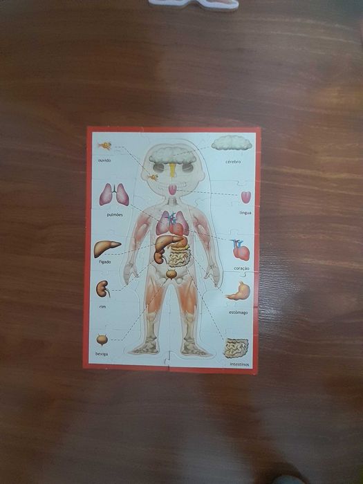 Jogo educativo: Aprendo... O corpo humano ㅤ