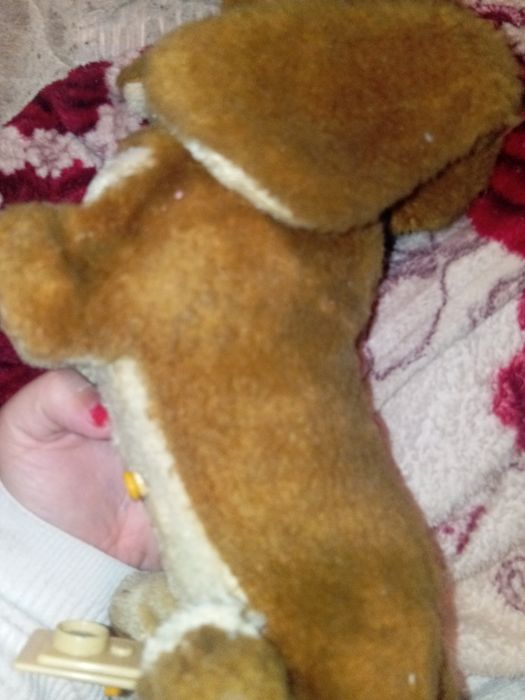 Cão sem pilhas n sei se funciona