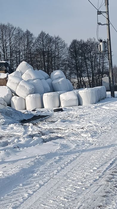 Słoma i siano kiszonka