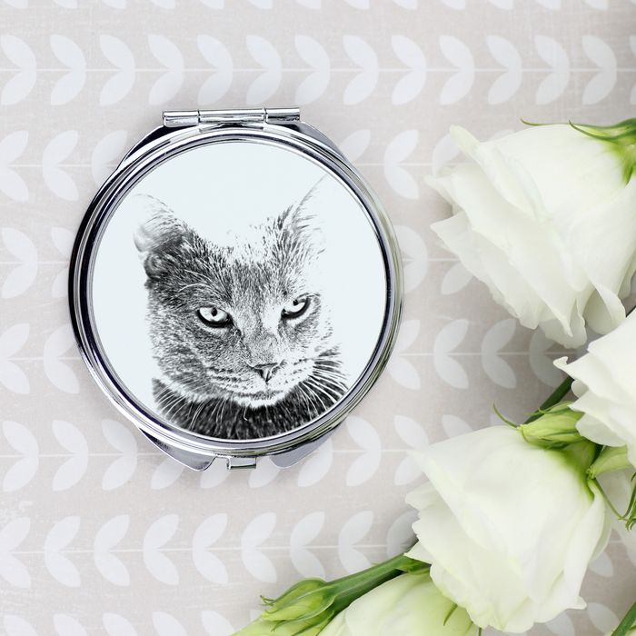 Chartreux lusterko ze zdjęciem kota Art-Dog