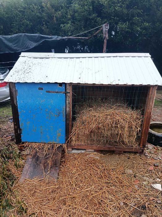 Casota para animais e comedouro